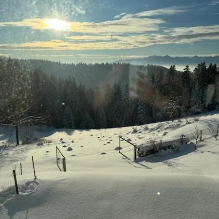 Zielone Wzgorze *