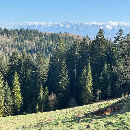 Zielone Wzgorze Pod Turbaczem *