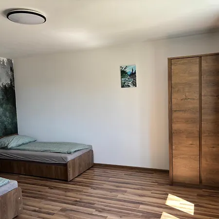 Zielone Wzgórze Apartament *