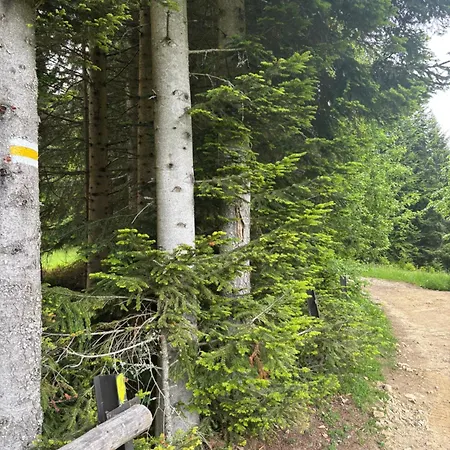 Zielone Wzgorze Pod Turbaczem Appartement Nowy Targ